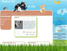 Tablet Screenshot of boobalechat.com